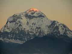 Poon Hill 04 The First Rays Of Sunrise Shine On The Dhaulagiri Summit